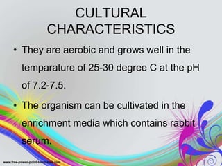 CULTURAL
CHARACTERISTICS
• They are aerobic and grows well in the
temparature of 25-30 degree C at the pH
of 7.2-7.5.
• The organism can be cultivated in the
enrichment media which contains rabbit
serum.
 