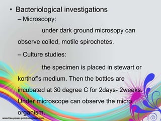 • Bacteriological investigations
– Microscopy:
under dark ground microsopy can
observe coiled, motile spirochetes.
– Culture studies:
the specimen is placed in stewart or
korthof’s medium. Then the bottles are
incubated at 30 degree C for 2days- 2weeks.
Under microscope can observe the micro
organism.
 