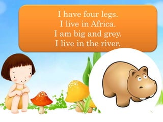 I have four legs.
I live in Africa.
I am big and grey.
I live in the river.
 