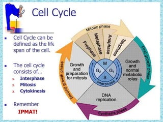 Types of cell divisions | PPTX