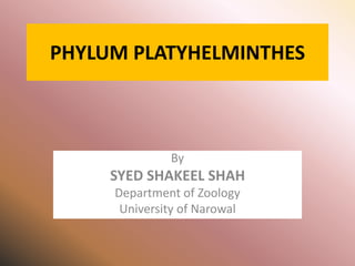 PHYLUM PLATYHELMINTHES
By
SYED SHAKEEL SHAH
Department of Zoology
University of Narowal
 