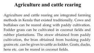 Agriculture and cattle rearing
 