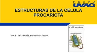 ESTRUCTURAS DE LA CELULA
PROCARIOTA
M.C.B. Zaira María Jeronimo Granados
 