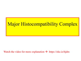 Major Histocompatibility Complex
Watch the video for more explanation  https://oke.io/hjdm
 