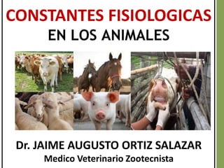 CONSTANTES FISIOLOGICAS
EN LOS ANIMALES
Dr. JAIME AUGUSTO ORTIZ SALAZAR
Medico Veterinario Zootecnista
 