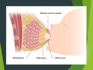 P/B :- DR NIYATI PATEL 4
 