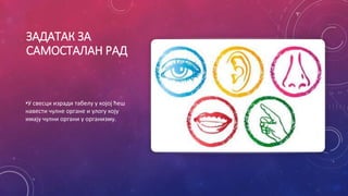 ЗАДАТАК ЗА
САМОСТАЛАН РАД
•У свесци изради табелу у којој ћеш
навести чулне органе и улогу коју
имају чулни органи у организму.
 