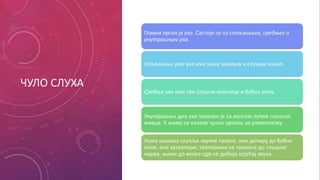 ЧУЛО СЛУХА
Главни орган је ухо. Састоји се из спољашњег, средњег и
унутрашњег уха.
Спољашњи дио уха има ушну шкољку и слушни канал.
Средње ухо има три слушне кошчице и бубну опну.
Унутрашњи дио уха повезан је са мозгом путем слушног
живца. У њему се налазе чулни органи за равнотежу.
Ушна шкољка скупља звучне таласе, они допиру до бубне
опне, она затрепери, треперење се пренесе до слушног
нерва, њиме до мозга гдје се добија осјећај звука.
 