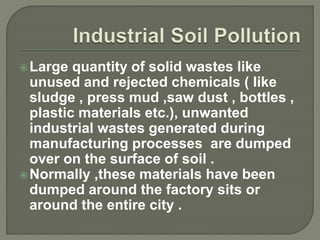 17 .Soil Pollution.pptx