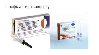 Профілактика кашлюку
 