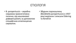 ЕТІОЛОГІЯ
• B. parapertussis – аеробна
нерухома грамнегативна
паличка, від кашлюкової
диференціюють за допомогою
специфічних аглютинуючих
сироваток.
• Збудник паракашлюку
(Bordetella parapertussis) в 1937
році виділили і описали Eldering
та Kendrick
 
