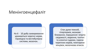 Менінгоенцефаліт
На 6 - 10 добу захворювання
уражаються черепні нерви,
пірамідна та вестибулярна
системи, мозочок.
Стан дуже тяжкий,
гіпертермія, мозкове
блювання, порушення і втрата
свідомості, марення, тонічні
та клонічні судоми, парези
черепних нервів, геміпарези
кінцівок, мозочкова атаксія.
 