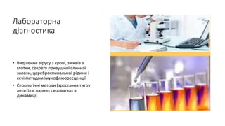 Лабораторна
діагностика
• Виділення вірусу з крові, змивів з
глотки, секрету привушної слинної
залози, цереброспинальної рідини і
сечі методом імунофлюоресценції
• Серологічні методи (зростання титру
антитіл в парних сироватках в
динамиці)
 