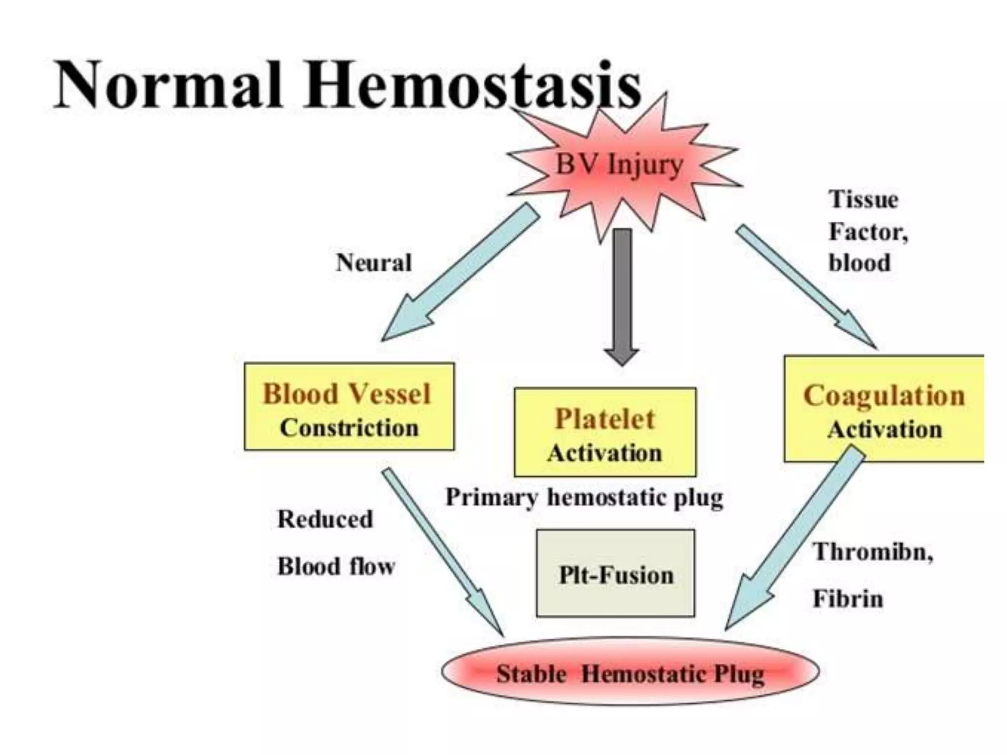 17. HEMOSTASIS DISORDERS.pptx