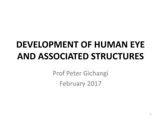 DEVELOPMENT OF HUMAN EYE
AND ASSOCIATED STRUCTURES
Prof Peter Gichangi
February 2017
1
 