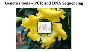 Genetics tools – PCR and DNA Sequencing
 