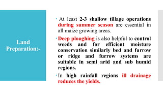 Land
Preparation:-
 At least 2-3 shallow tillage operations
during summer season are essential in
all maize growing areas.
Deep ploughing is also helpful to control
weeds and for efficient moisture
conservation similarly bed and furrow
or ridge and furrow systems are
suitable in semi arid and sub humid
regions.
In high rainfall regions ill drainage
reduces the yields.
 