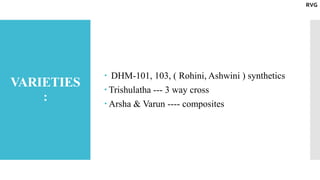 VARIETIES
:
 DHM-101, 103, ( Rohini, Ashwini ) synthetics
 Trishulatha --- 3 way cross
 Arsha & Varun ---- composites
RVG
 