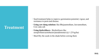 Treatment
 Seed treatment helps to improve germination potential, vigour, and
resistance to pests and disease.
 Using cow dung solutions like Bhejaamrutham, Jeevamrutham,
Cow cake ash
 Using biofertilisers : Biofertilisers like
azospirillum/azotobacter/pseudomonas (@ 1.25 kg/ha)
 Shed Dry the seeds in the shade before sowing them
RVG
 