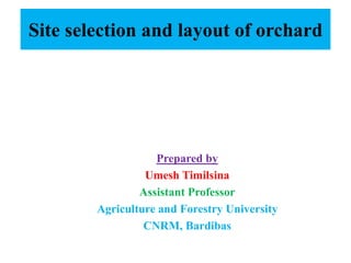Site selection and layout of orchard
Prepared by
Umesh Timilsina
Assistant Professor
Agriculture and Forestry University
CNRM, Bardibas
 