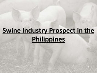 Swine Industry Prospect in the
Philippines
 