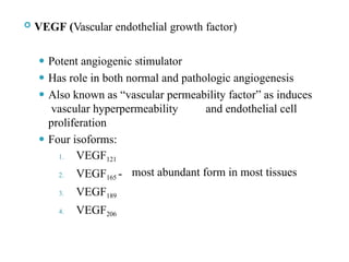  VEGF (Vascular endothelial growth factor)
⚫ Potent angiogenic stimulator
⚫ Has role in both normal and pathologic angiogenesis
⚫ Also known as “vascular permeability factor” as induces
vascular hyperpermeability and endothelial cell
proliferation
⚫ Four isoforms:
1. VEGF121
2. VEGF165 -
3. VEGF189
4. VEGF206
most abundant form in most tissues
 