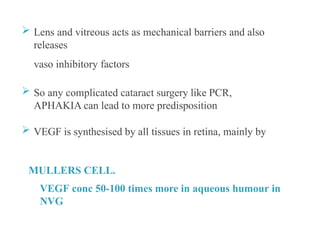  Lens and vitreous acts as mechanical barriers and also
releases
vaso inhibitory factors
 So any complicated cataract surgery like PCR,
APHAKIA can lead to more predisposition
 VEGF is synthesised by all tissues in retina, mainly by
MULLERS CELL.
VEGF conc 50-100 times more in aqueous humour in
NVG
 