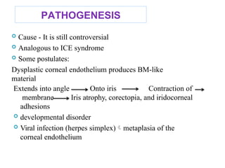 PATHOGENESIS
 Cause - It is still controversial
 Analogous to ICE syndrome
 Some postulates:
Dysplastic corneal endothelium produces BM-like
material
Onto iris Contraction of
Iris atrophy, corectopia, and iridocorneal
Extends into angle
membrane
adhesions
 developmental disorder
 Viral infection (herpes simplex)metaplasia of the
corneal endothelium
 