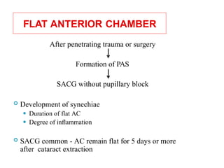 FLAT ANTERIOR CHAMBER
After penetrating trauma or surgery
Formation of PAS
SACG without pupillary block
 Development of synechiae
⚫ Duration of flat AC
⚫ Degree of inflammation
 SACG common - AC remain flat for 5 days or more
after cataract extraction 67
 