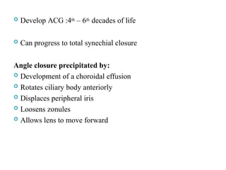  Develop ACG :4th – 6th decades of life
 Can progress to total synechial closure
Angle closure precipitated by:
 Development of a choroidal effusion
 Rotates ciliary body anteriorly
 Displaces peripheral iris
 Loosens zonules
 Allows lens to move forward
 