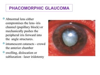 PHACOMORPHIC GLAUCOMA
 Abnormal lens either
compromises the lens–iris
channel (pupillary block) or
mechanically pushes the
peripheral iris forward into
the angle structures.
 intumescent cataracts - crowd
the anterior chamber
 swelling, dislocation or
subluxation –laser iridotomy
106
 