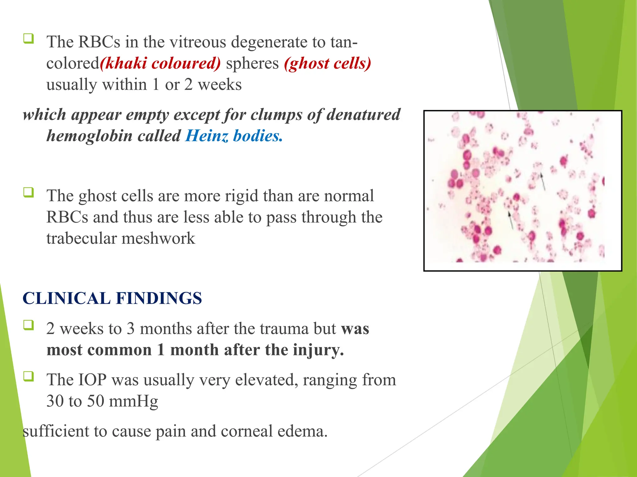  The RBCs in the vitreous degenerate to tan-
colored(khaki coloured) spheres (ghost cells)
usually within 1 or 2 weeks
which appear empty except for clumps of denatured
hemoglobin called Heinz bodies.
 The ghost cells are more rigid than are normal
RBCs and thus are less able to pass through the
trabecular meshwork
CLINICAL FINDINGS
 2 weeks to 3 months after the trauma but was
most common 1 month after the injury.
 The IOP was usually very elevated, ranging from
30 to 50 mmHg
sufficient to cause pain and corneal edema.
 