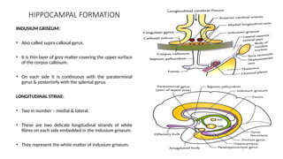 17. LIMBIC SYSTEM it's connection and disorders related | PPTX