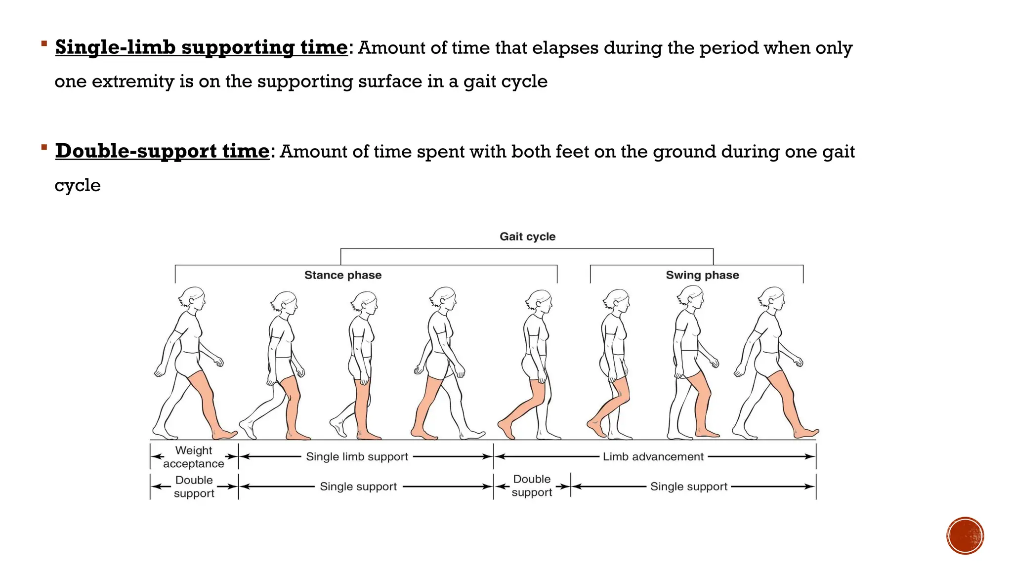 17.BIOMECHANICS OF GAIT.pptx gtgghhhygyyuh | PPTX