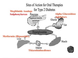 Comprehensive Overview of Oral Antidiabetic Agents and Their Mechanisms ...