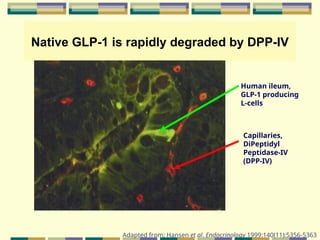 Comprehensive Overview of Oral Antidiabetic Agents and Their Mechanisms ...