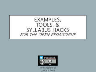 EXAMPLES,
TOOLS, &
SYLLABUS HACKS
FOR THE OPEN PEDAGOGUE
With additional
content from
 