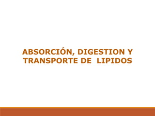 ABSORCIÓN, DIGESTION Y
TRANSPORTE DE LIPIDOS
 