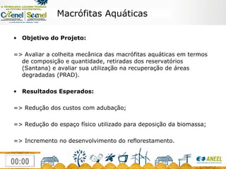 Objetivo do Projeto: => Avaliar a colheita mecânica das macrófitas aquáticas em termos de composição e quantidade, retiradas dos reservatórios (Santana) e avaliar sua utilização na recuperação de áreas degradadas (PRAD). Resultados Esperados: => Redução dos custos com adubação; => Redução do espaço físico utilizado para deposição da biomassa; => Incremento no desenvolvimento do reflorestamento. Macrófitas Aquáticas 