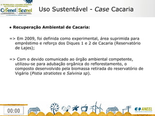 ●  Recuperação Ambiental de Cacaria: => Em 2009, foi definida como experimental, área suprimida para empréstimo e reforço dos Diques 1 e 2 de Cacaria (Reservatório de Lajes); => Com o devido comunicado ao órgão ambiental competente, utilizou-se para adubação orgânica do reflorestamento, o composto desenvolvido pela biomassa retirada do reservatório de Vigário ( Pistia stratiotes  e  Salvinia sp ). Uso Sustentável -  Case  Cacaria 