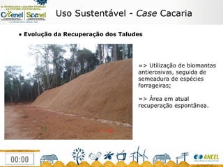 Uso Sustentável -  Case  Cacaria ●  Evolução da Recuperação dos Taludes => Utilização de biomantas antierosivas, seguida de semeadura de espécies forrageiras; => Área em atual recuperação espontânea. 