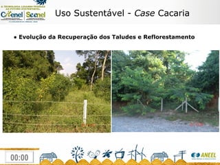 ●  Evolução da Recuperação dos Taludes e Reflorestamento Uso Sustentável -  Case  Cacaria 