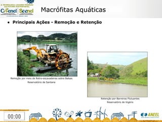Macrófitas Aquáticas ●  Principais Ações - Remoção e Retenção Remoção por meio de Retro-escavadeiras sobre Balsas Reservatório de Santana Retenção por Barreiras Flutuantes Reservatório de Vigário 