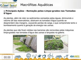 Macrófitas Aquáticas ●  Principais Ações -  Remoção pelas Limpa-grades nas Tomadas D’água As plantas, além de reter os sedimentos carreados pelas águas, diminuindo o volume útil dos reservatórios, obstruem as tomadas d’água quando se desprendem das margens, causando perdas de carga, o que compromete tanto o bombeamento quanto à geração de energia nas usinas. As plantas que não ficam retidas nas barreiras são removidas pelas máquinas limpa-grades nas tomadas d’água das usinas e lançadas na galeria. 
