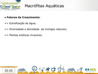 Macrófitas Aquáticas ●  Fatores de Crescimento: => Eutrofização da água; => Diversidade e densidade  de inimigos naturais; => Plantas exóticas invasoras. 