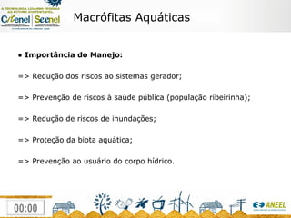 ●  Importância do Manejo: => Redução dos riscos ao sistemas gerador; => Prevenção de riscos à saúde pública (população ribeirinha); => Redução de riscos de inundações; => Proteção da biota aquática; => Prevenção ao usuário do corpo hídrico. Macrófitas Aquáticas 