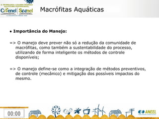●  Importância do Manejo: => O manejo deve prever não só a redução da comunidade de macrófitas, como também a sustentabilidade do processo, utilizando de forma inteligente os métodos de controle disponíveis; => O manejo define-se como a integração de métodos preventivos, de controle (mecânico) e mitigação dos possíveis impactos do mesmo. Macrófitas Aquáticas 