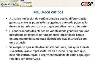 RESULTADOS OBTIDOS A análise molecular de variância indica que há diferenciação genética entre as populações, sugerindo que cada população deve ser tratada como um estoque geneticamente diferente.  O conhecimento dos efeitos da variabilidade genética em uma população de peixes é de fundamental importância para o entendimento de como essa diversidade está distribuída em uma espécie.  Se a espécie apresenta diversidade contínua, qualquer área de sua distribuição é representativa da espécie, enquanto que, havendo estruturação, a representatividade de cada população terá que ser preservada. 