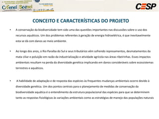 A conservação da biodiversidade tem sido uma das questões importantes nas discussões sobre o uso dos recursos aquáticos. Um dos problemas referentes à geração de energia hidroelétrica, é que inevitavelmente esta se dá com danos ao meio ambiente.  Ao longo dos anos, o Rio Paraíba do Sul e seus tributários vêm sofrendo represamentos, desmatamentos da mata ciliar e poluição em razão da industrialização e atividade agrícola nas áreas ribeirinhas. Esses impactos ambientais resultam na perda da diversidade genética implicando em danos consideráveis sobre ecossistemas terrestres e aquáticos. A habilidade de adaptação e de resposta das espécies às frequentes mudanças ambientais ocorre devido à diversidade genética. Um dos pontos centrais para o planejamento de medidas de conservação da biodiversidade aquática é o entendimento da estrutura populacional das espécies para que se determinem tanto as respostas fisiológicas às variações ambientais como as estratégias de manejo das populações naturais  CONCEITO E CARACTERÍSTICAS DO PROJETO 