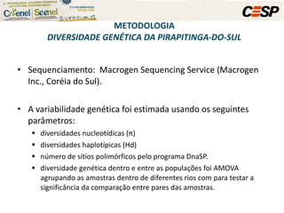 Sequenciamento:  Macrogen Sequencing Service (Macrogen Inc., Coréia do Sul).  A variabilidade genética foi estimada usando os seguintes parâmetros:  diversidades nucleotídicas (π) diversidades haplotípicas (Hd)  número de sítios polimórficos pelo programa DnaSP. diversidade genética dentro e entre as populações foi AMOVA agrupando as amostras dentro de diferentes rios com para testar a significância da comparação entre pares das amostras.  METODOLOGIA DIVERSIDADE GENÉTICA DA PIRAPITINGA-DO-SUL 